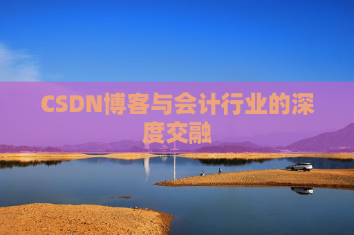 CSDN博客与会计行业的深度交融